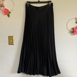 Zara Maxi Skirt